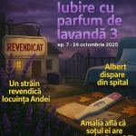 Iubire cu parfum de lavandă 3 Episodul 7, 24 octombrie 2025. Ștefan și Anda, puși în fața unei decizii neașteptate Iubire cu parfum de lavandă 3 Episodul 7, 24 octombrie 2025. Ștefan și Anda, puși în fața unei decizii neașteptate