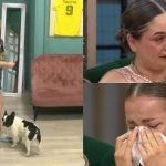 Mireasa editia din 18 iunie 2026, episodul 114. Daniel si Claudia, apropieri incerte!